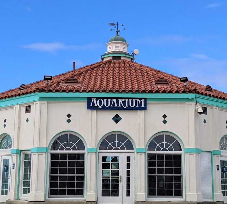 roundhouse-aquarium-photo
